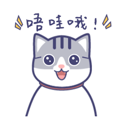 乖巧的藍貓