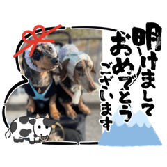 ayumi_20201218181500