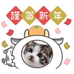 hana_20201218214512