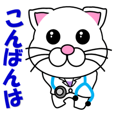 A doctor of white cat