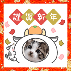 hana_20201219073657