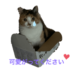 Eririn_20201218194352
