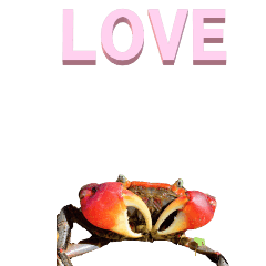 Simple English from Crab-BIG