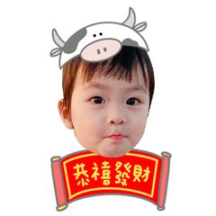 New year baby Xing xing (C)