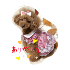 smile_20201219013514