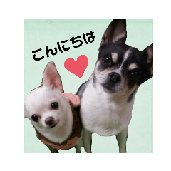 MATSU_20201219122649