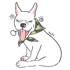 Dodo the white dog [no word]