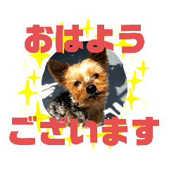 love taro_20201219131752