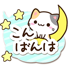 Small Cute Calico cat 3