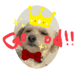 chisa_20201219151427