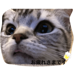 omochi_20201218225143