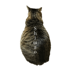 SHIMAO 2