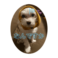 yuto_20201219170333