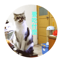 AM公主