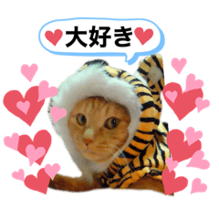 茶トラの太郎さん