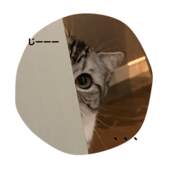 omochi_20201219213222