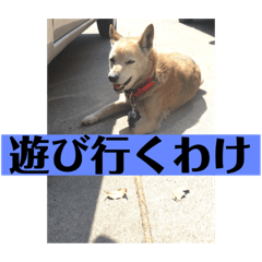 hANA_20201219233942