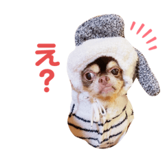 YUKICHI friends