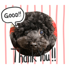 asako_20201220051103