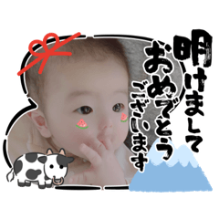 koko_20201219185020