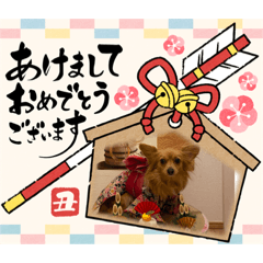 yukari_20201220104838