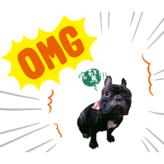 土豆和小虎日常