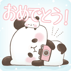 もちもちぱんだ カラフル5 Line スタンプ Line Store もちもちぱんだ カラフル5 Line スタンプ Line Store