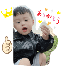 蔡宝