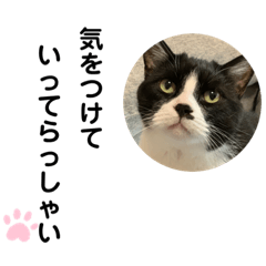 ayumi_20201220132907