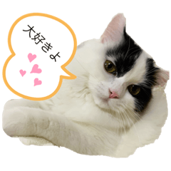 Ayumi_20201220115700