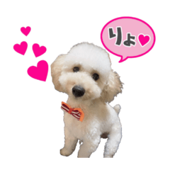 tommy_20201220131041