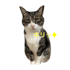 Hana_20201220141322