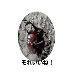 kaito_20201220132515