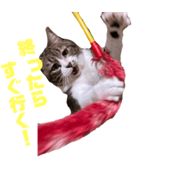 Nanami_20201220143111