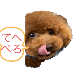 junko_20201220145437