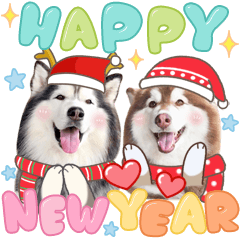 Husky Happy New Year 2021 (BigTic)