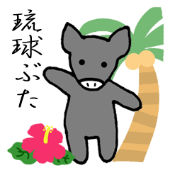 OKINAWA pig