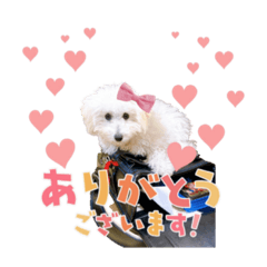 Lumie_20201220154340