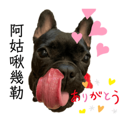 Barry 小公主