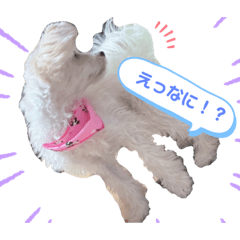 chan_20201220162425