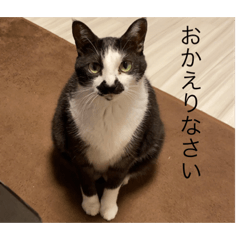 chie_20201220160314