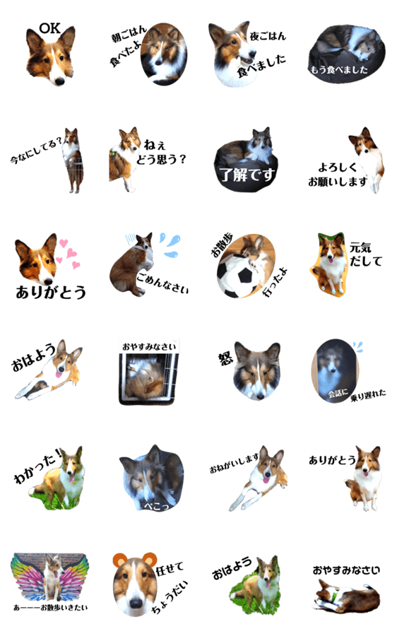 シェルティ犬はeverydayフワフワ Lineクリエイターズスタンプ Stamplist