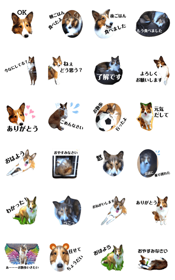 シェルティ犬はeverydayフワフワ Lineクリエイターズスタンプ Stamplist シェルティ犬はeverydayフワフワ Lineクリエイターズスタンプ Stamplist