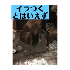 hANA_20201220235057
