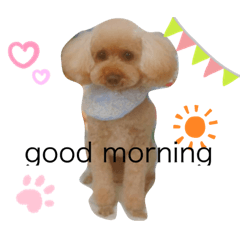 nozomi_20201220221435