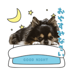 ayumi_20201220185143