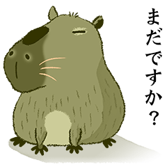 Hi~!!capybara 3