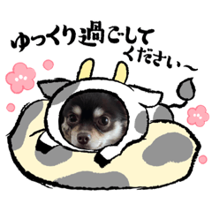 chibi_20201220224459