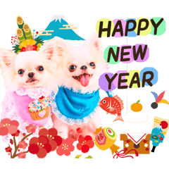 Chihuahua's Xmas & New Year greetings