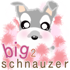 soft and healed schnauzer big2